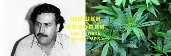 PSILOCYBIN Балахна