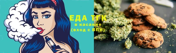 mix Инта