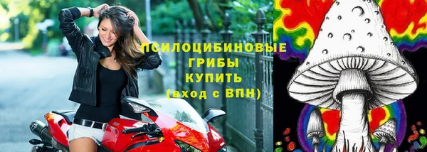 МДПВ Арсеньев