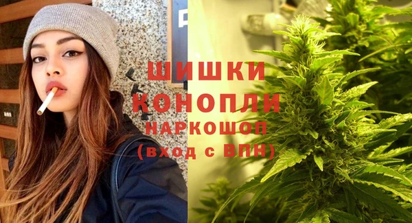 PSILOCYBIN Балахна