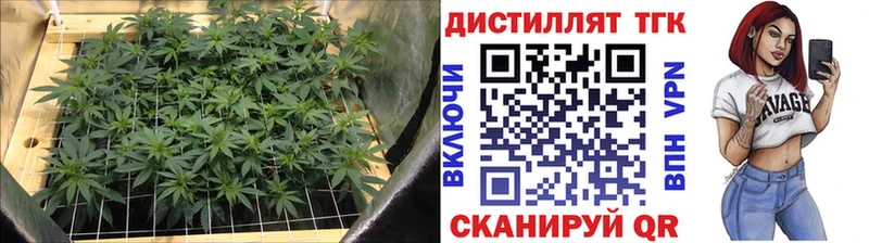 ТГК жижа  blacksprut зеркало  Кола 